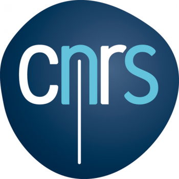 Plateforme des réseaux de la Mission pour l'Interdisciplinarité du CNRS